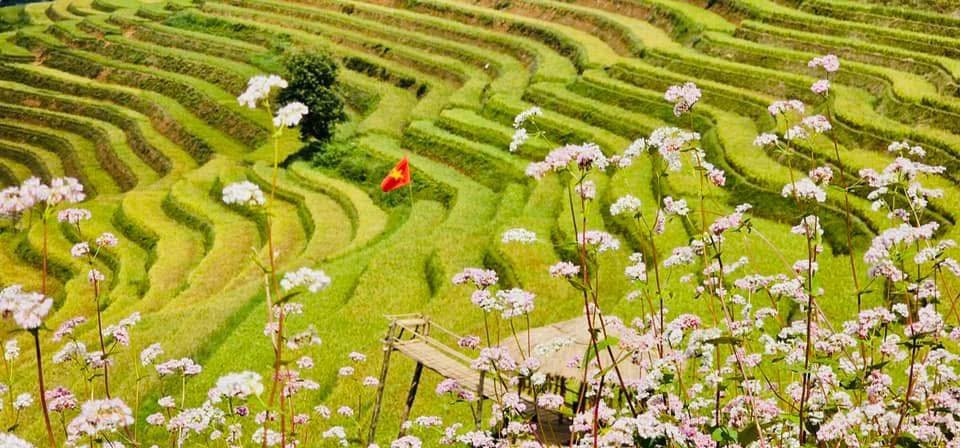12-Day Northern Vietnam Cycling Tour: Sapa, Mu Cang Chai & Pu Luong Adventure